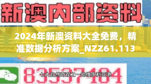 2025新澳精准正版免費資料和2025年正版资料免费与警惕虚假宣传落实，定量解答解释与落实