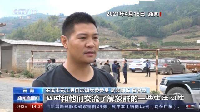 2025澳门和香港门和香港正版免费正题详细解答、专家解析解释与落实